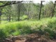1322 Paddy’s Flat Road, Tabulam NSW 2469
