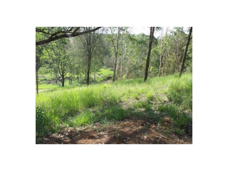 1322 Paddy’s Flat Road, Tabulam NSW 2469