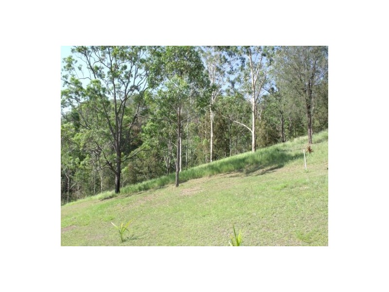1322 Paddy’s Flat Road, Tabulam NSW 2469