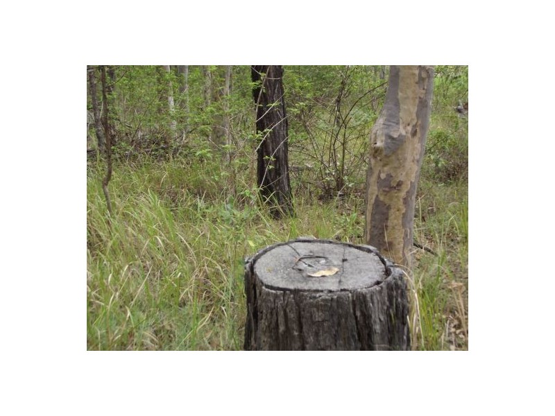 Lot 121 2791 Old Tenterfield Road – Wyan, Rappville NSW 2469