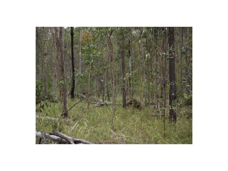 Lot 121 2791 Old Tenterfield Road – Wyan, Rappville NSW 2469