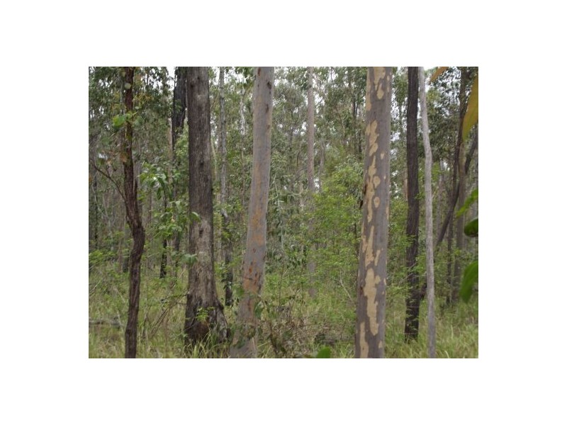 Lot 121 2791 Old Tenterfield Road – Wyan, Rappville NSW 2469