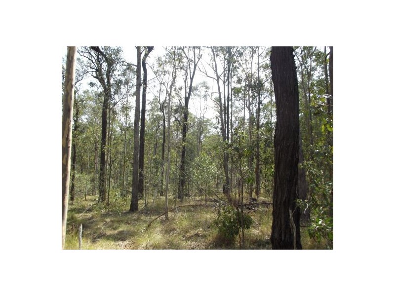 Lot 94 Old Tenterfeild Road – Wyan, Rappville NSW 2469