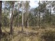 Lot 94 Old Tenterfeild Road – Wyan, Rappville NSW 2469