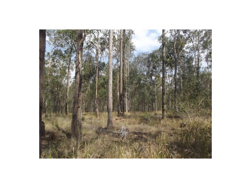 Lot 94 Old Tenterfeild Road – Wyan, Rappville NSW 2469