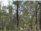 Lot 94 Old Tenterfeild Road – Wyan, Rappville NSW 2469