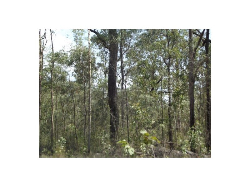 Lot 94 Old Tenterfeild Road – Wyan, Rappville NSW 2469