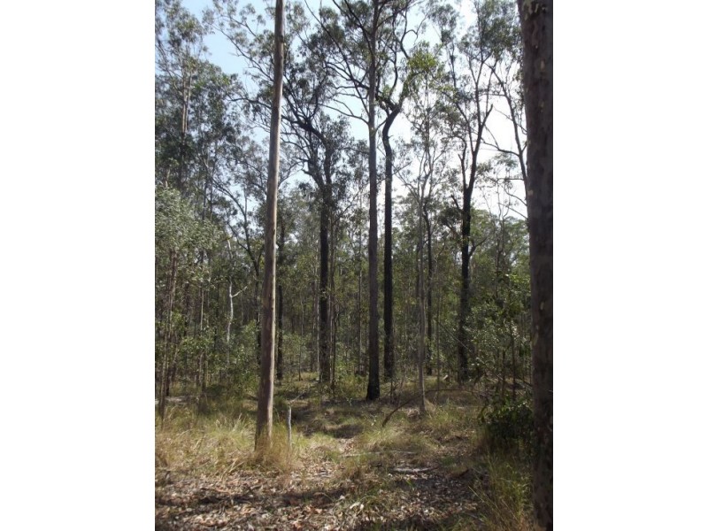 Lot 94 Old Tenterfeild Road – Wyan, Rappville NSW 2469
