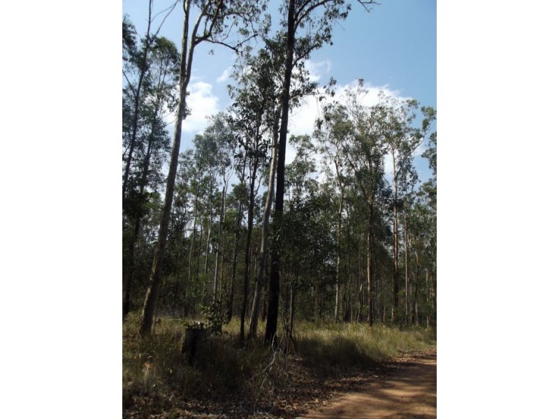 Lot 94 Old Tenterfeild Road – Wyan, Rappville NSW 2469