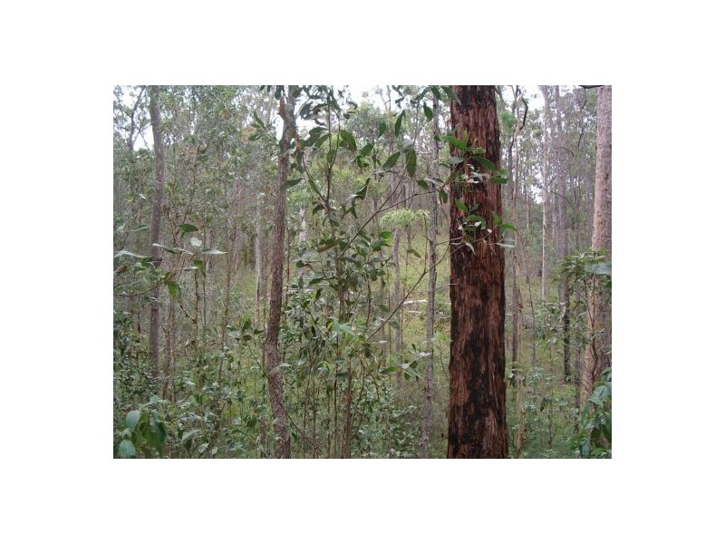 908 Bulldog Road – Ewingar, Ewingar NSW 2469