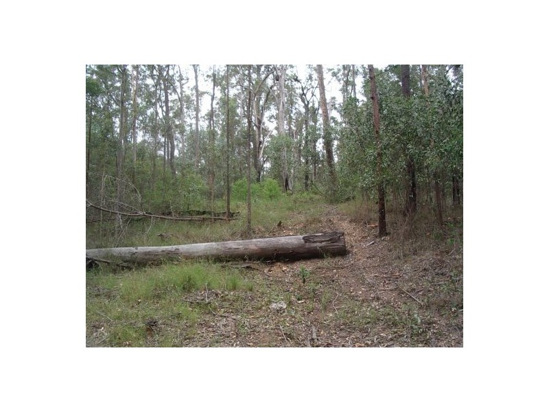 908 Bulldog Road – Ewingar, Ewingar NSW 2469