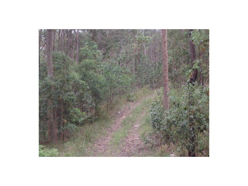 908 Bulldog Road – Ewingar, Ewingar NSW 2469