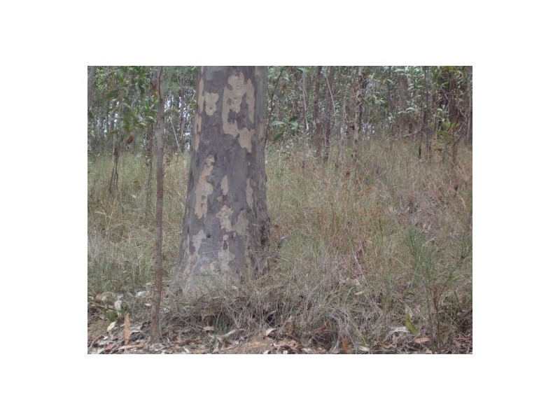 908 Bulldog Road – Ewingar, Ewingar NSW 2469