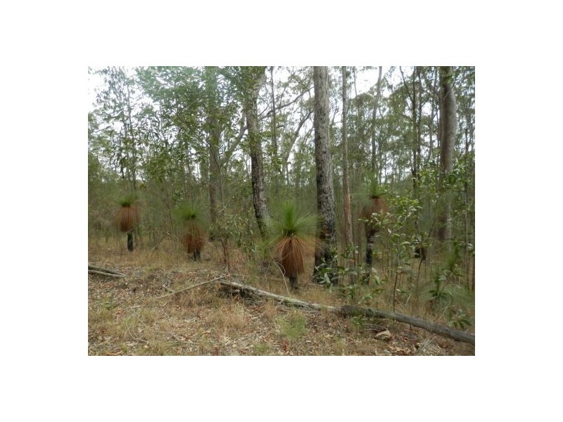 908 Bulldog Road – Ewingar, Ewingar NSW 2469