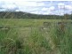 Lot 4 Wallaby Road, Tabulam NSW 2469