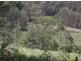 Lot 4 Wallaby Road, Tabulam NSW 2469