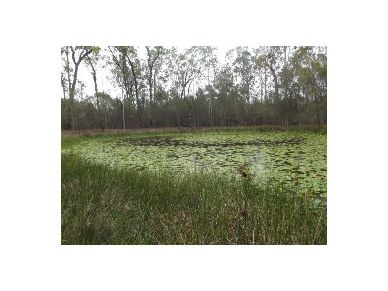 6287 Summerland Way, Whiporie NSW 2469