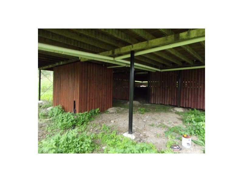 3 Forest Ave, Urbenville NSW 2475