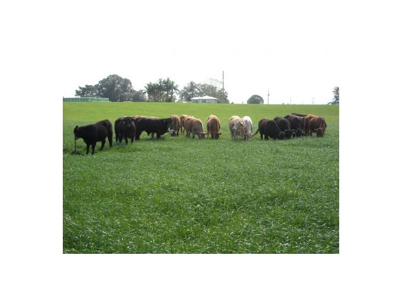 270 Tomki Tatham Road, Casino NSW 2470