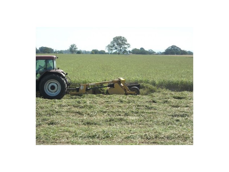 270 Tomki Tatham Road, Casino NSW 2470