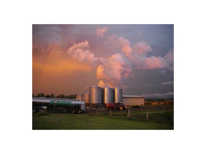 270 Tomki Tatham Road, Casino NSW 2470