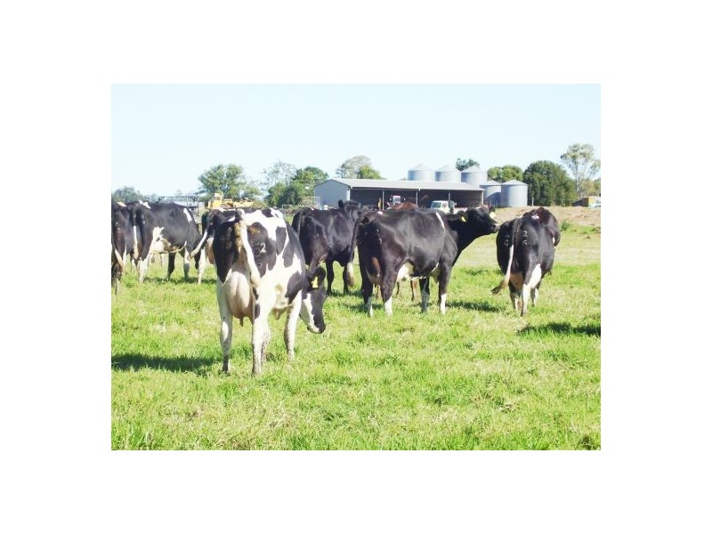 270 Tomki Tatham Road, Casino NSW 2470