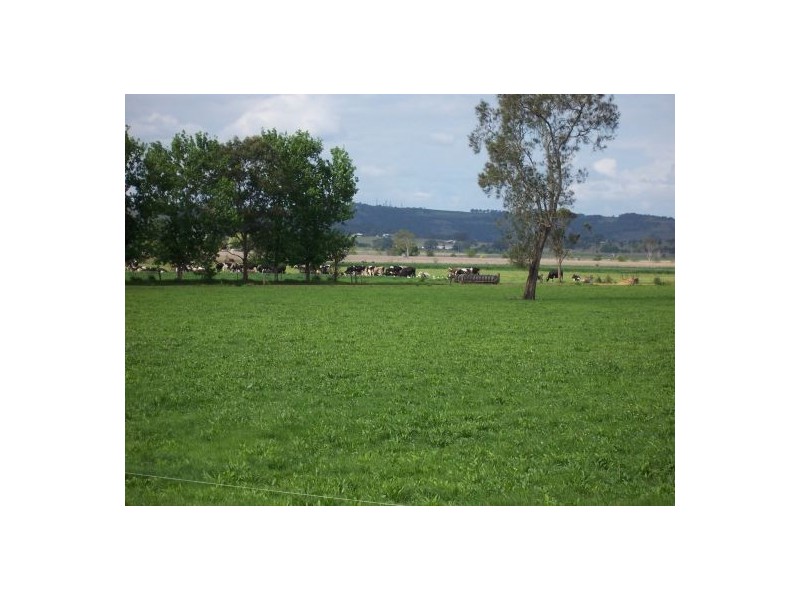 270 Tomki Tatham Road, Casino NSW 2470