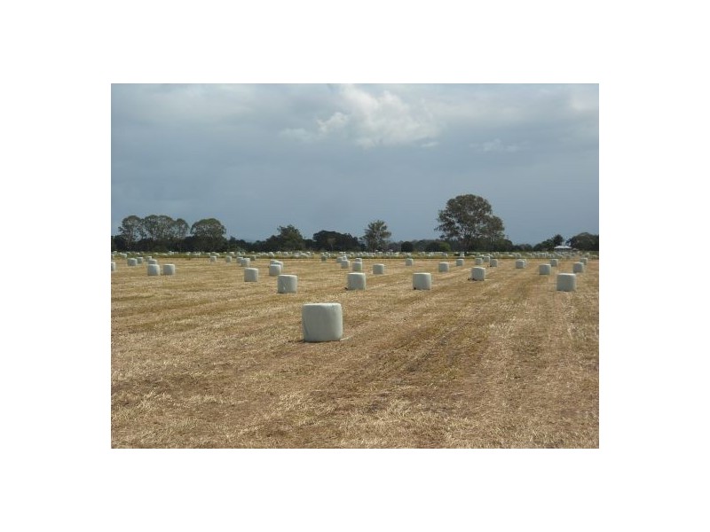 270 Tomki Tatham Road, Casino NSW 2470