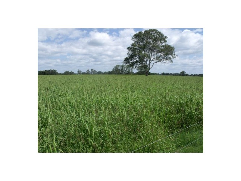 270 Tomki Tatham Road, Casino NSW 2470