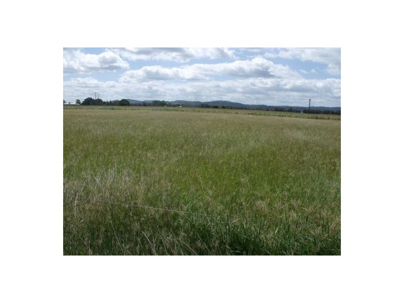 270 Tomki Tatham Road, Casino NSW 2470