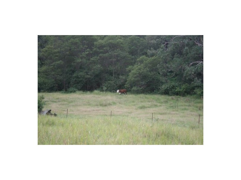 Lot 124 Plains Station Rd, Tabulam NSW 2469