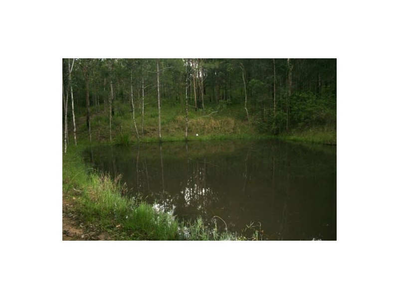 Lot 124 Plains Station Rd, Tabulam NSW 2469