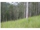 Lot 124 Plains Station Rd, Tabulam NSW 2469