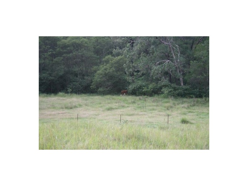 Lot 124 Plains Station Rd, Tabulam NSW 2469