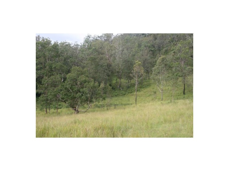 Lot 124 Plains Station Rd, Tabulam NSW 2469