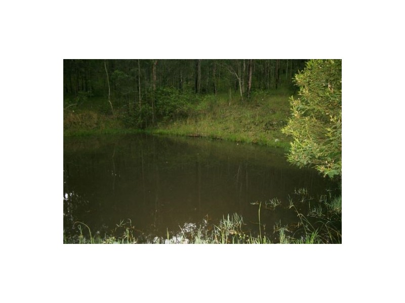 Lot 124 Plains Station Rd, Tabulam NSW 2469