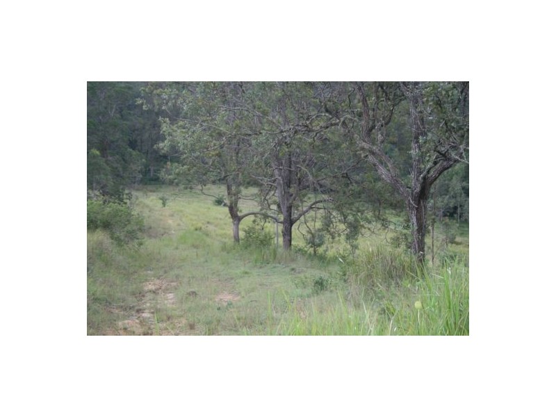 Lot 124 Plains Station Rd, Tabulam NSW 2469