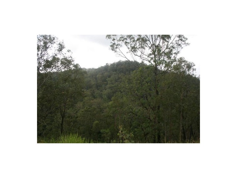 Lot 124 Plains Station Rd, Tabulam NSW 2469