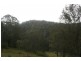 Lot 124 Plains Station Rd, Tabulam NSW 2469