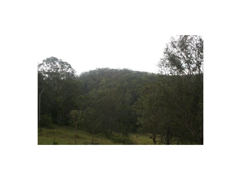 Lot 124 Plains Station Rd, Tabulam NSW 2469