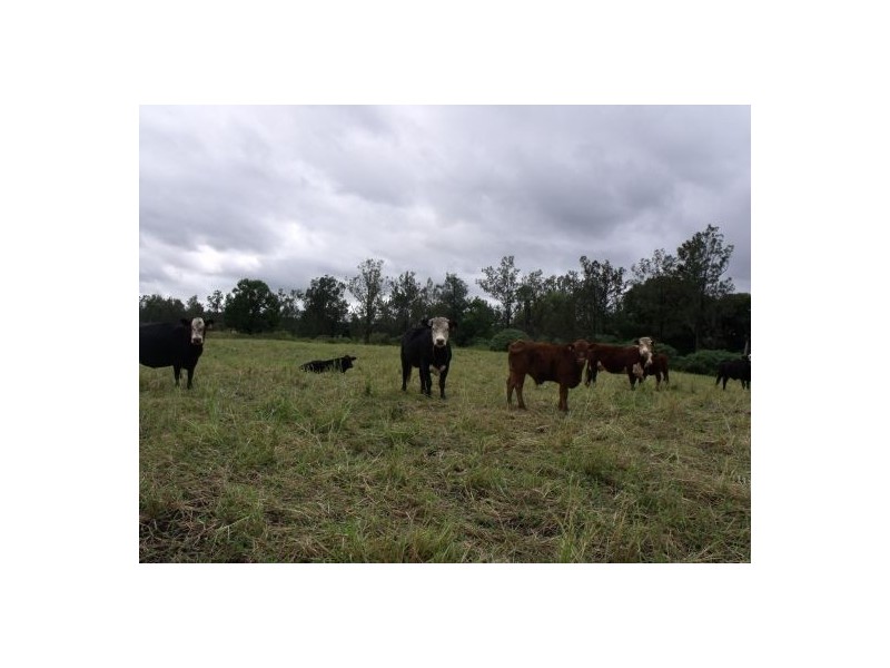 1521b Sextonville Road, Casino NSW 2470