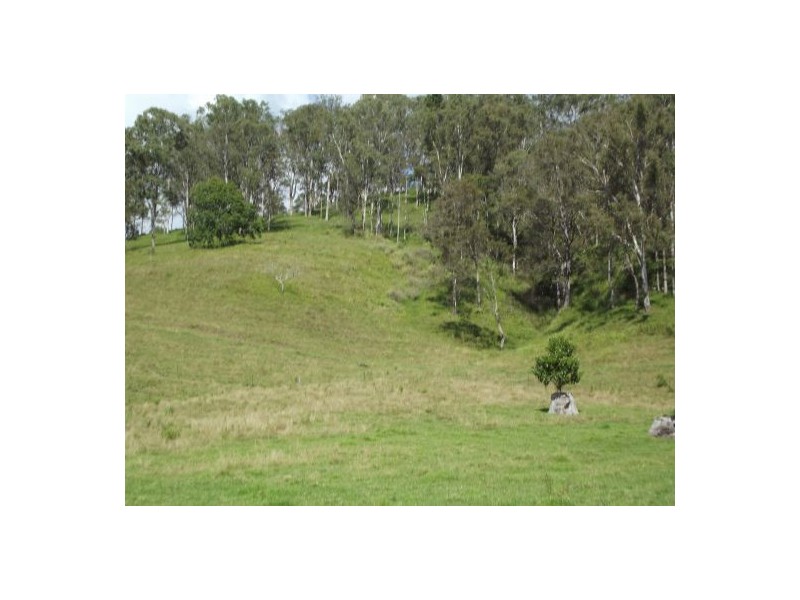 659 Upper Eden Creek Rd, Eden Creek, Kyogle NSW 2474
