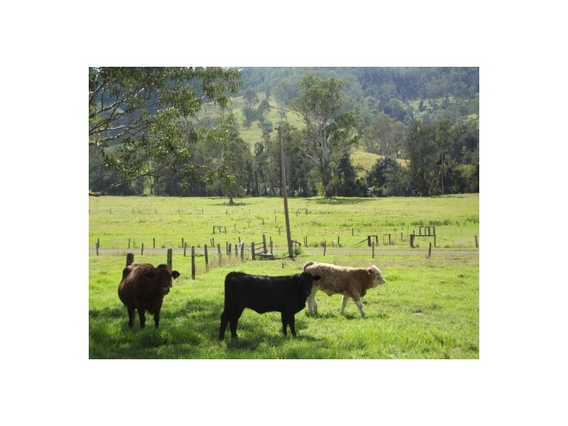 659 Upper Eden Creek Rd, Eden Creek, Kyogle NSW 2474