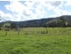 659 Upper Eden Creek Rd, Eden Creek, Kyogle NSW 2474