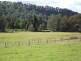 659 Upper Eden Creek Rd, Eden Creek, Kyogle NSW 2474