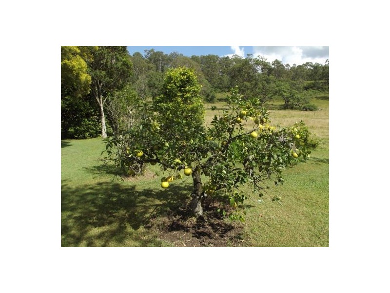 659 Upper Eden Creek Rd, Eden Creek, Kyogle NSW 2474