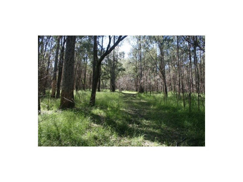 Lot 23 Mud Flat Rd, Drake NSW 2469