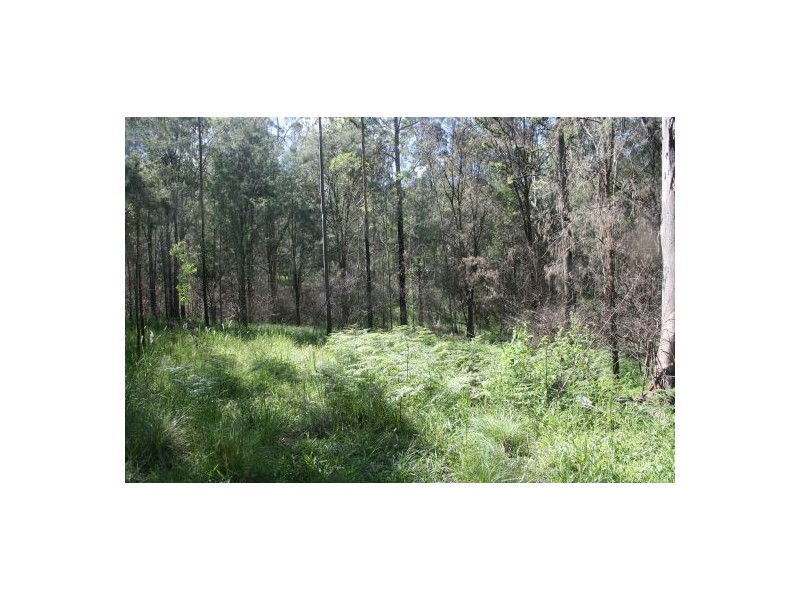 Lot 23 Mud Flat Rd, Drake NSW 2469