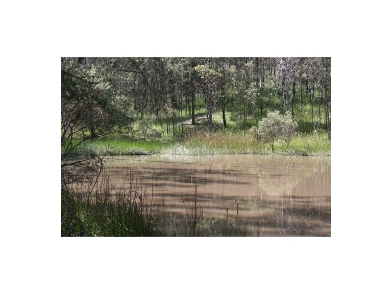 Lot 23 Mud Flat Rd, Drake NSW 2469