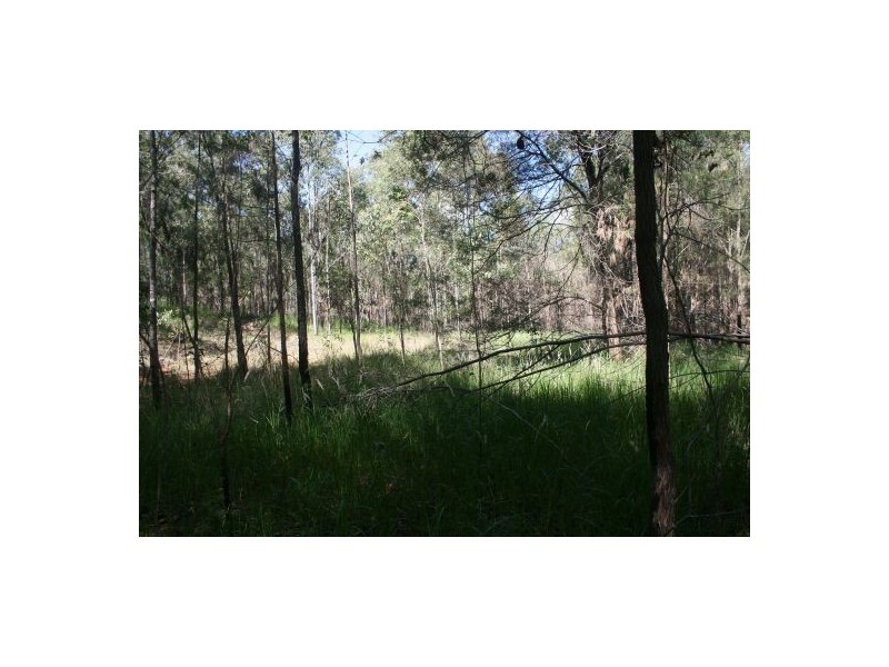 Lot 23 Mud Flat Rd, Drake NSW 2469